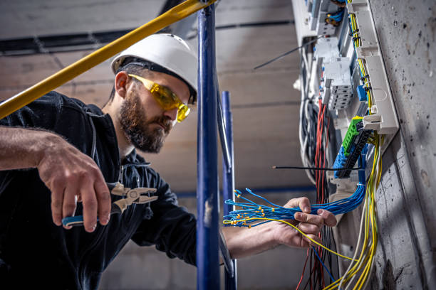 Best Home Electrical Repair  in Kalkaska, MI